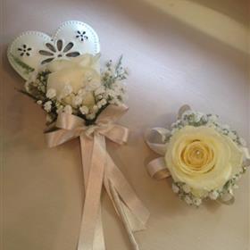 fwthumbFullSizeRender (10)as.jpg